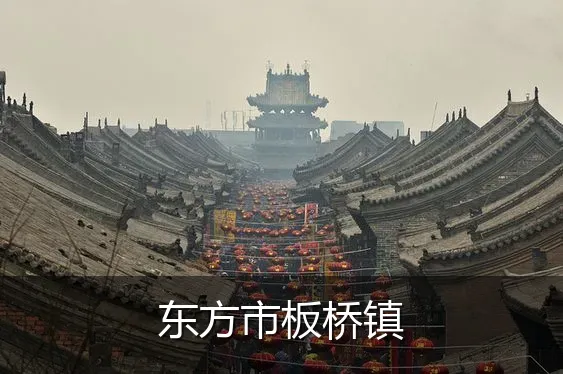 东方市板桥镇