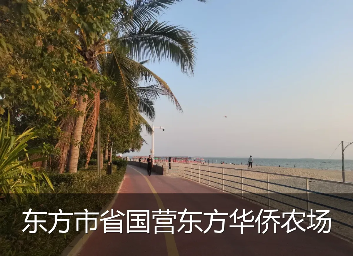东方市省国营东方华侨农场